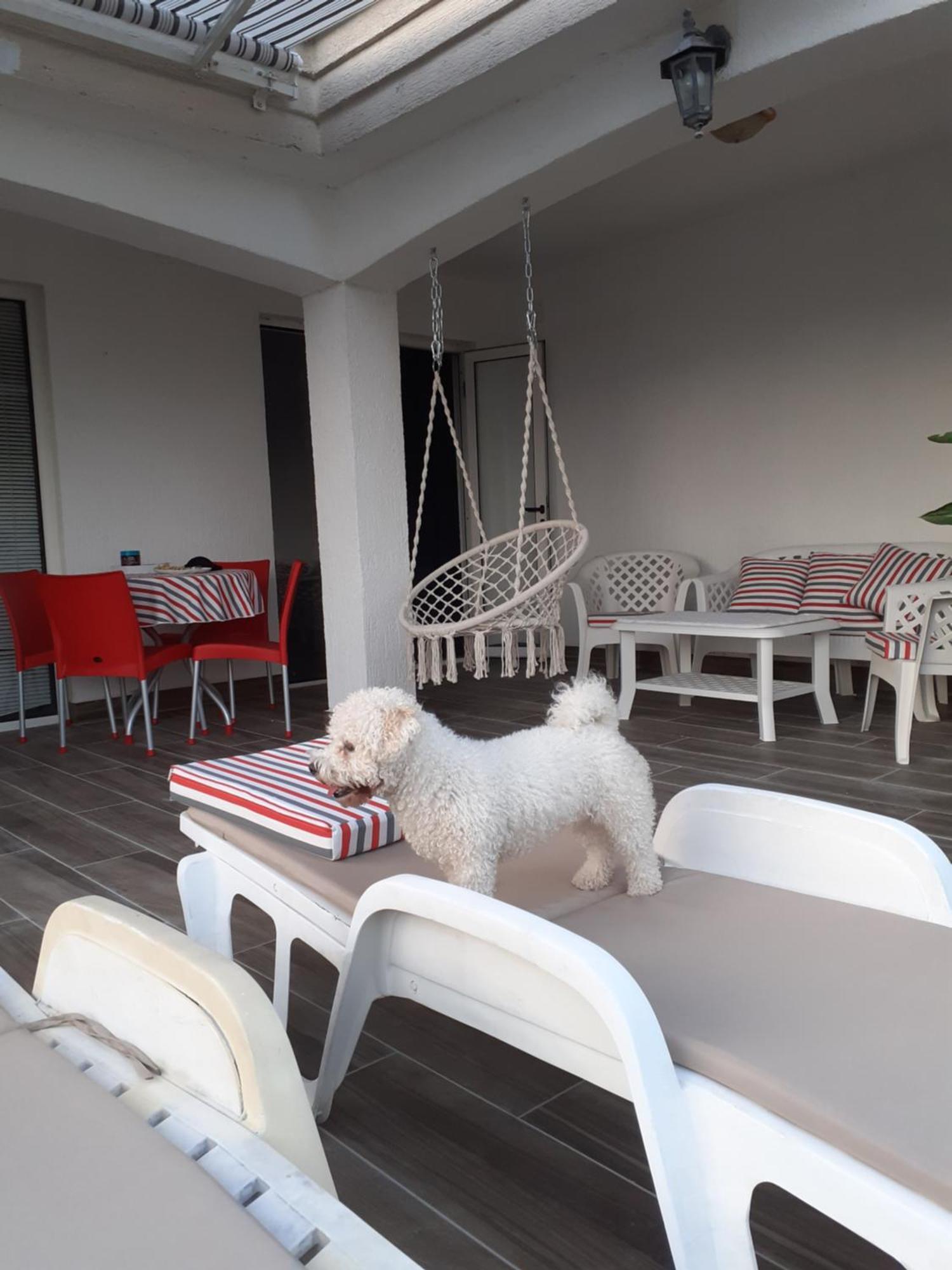 Guest House Cvoro Herceg Novi Quarto foto